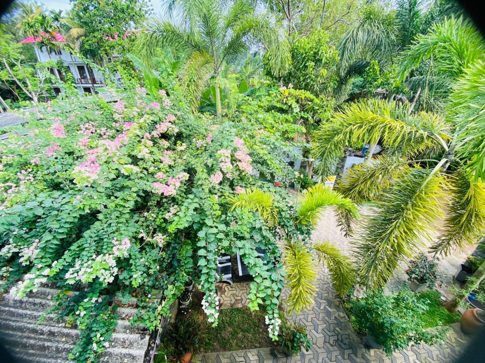 Awon Mirissa Hotel Exterior photo